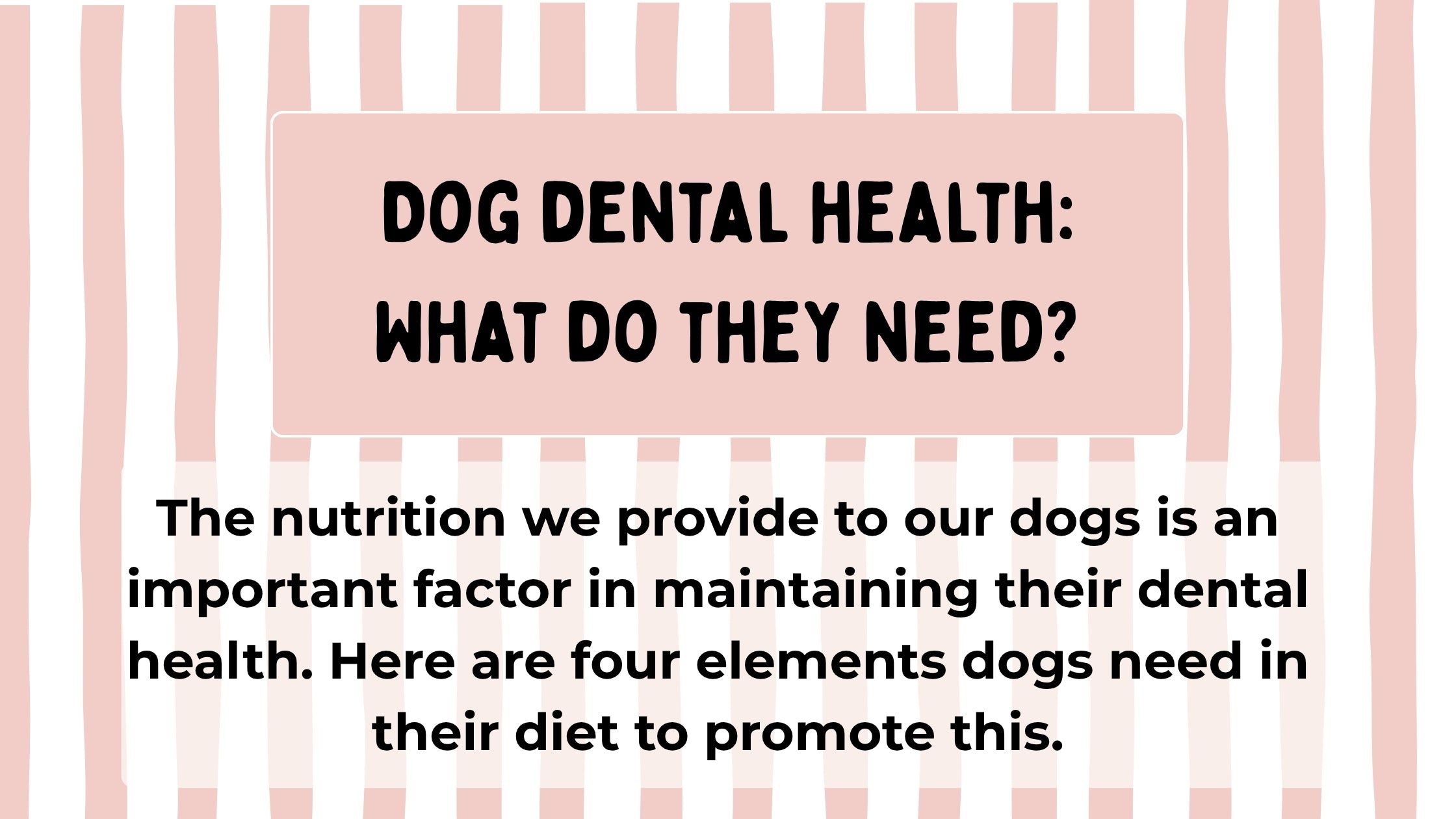 DOG DENTAL HEALTH: What do they need?