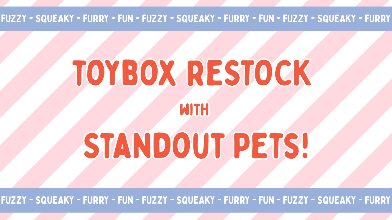 Toy Update