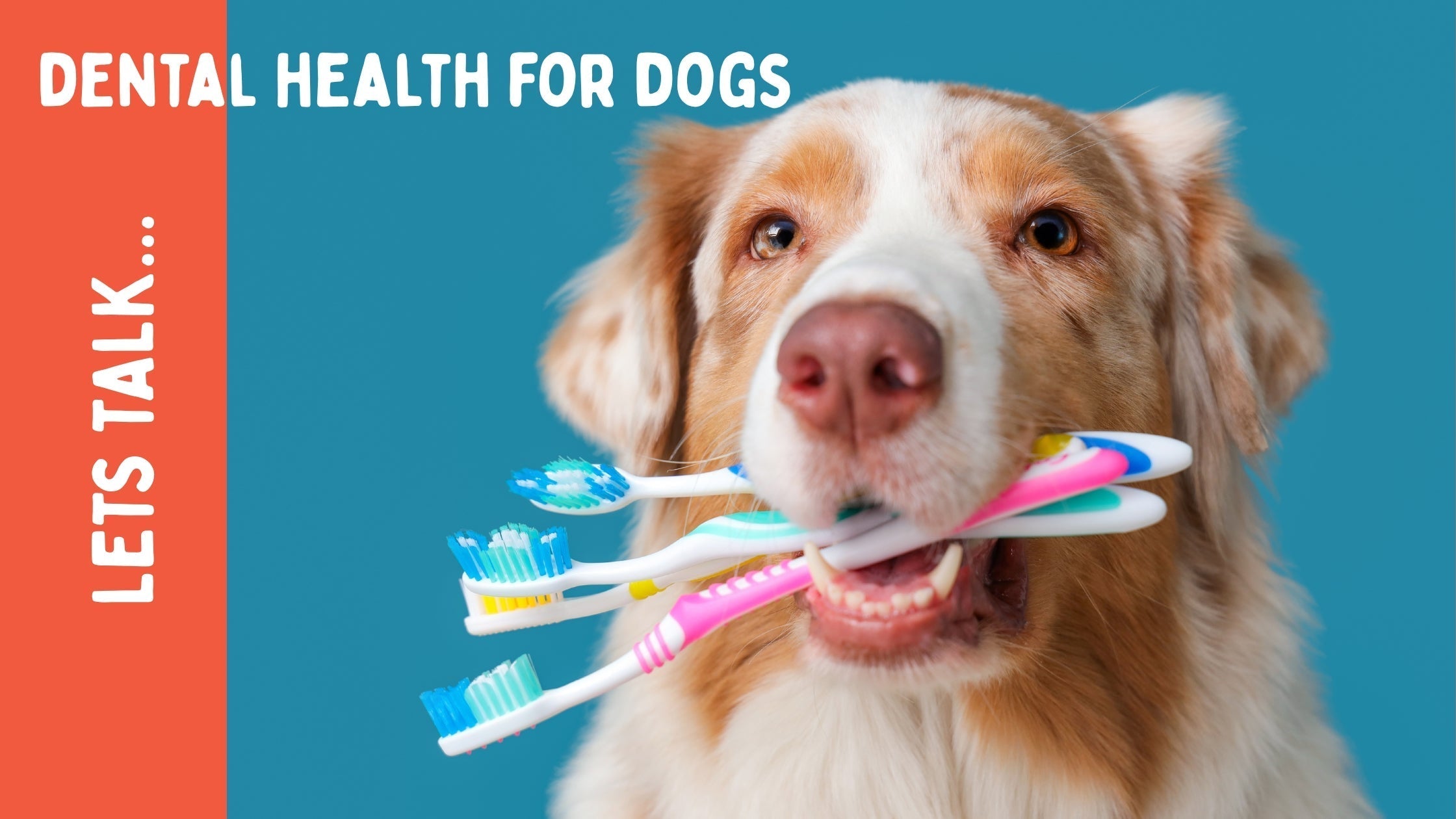 DENTAL HEALTH & ENTER TO WIN!