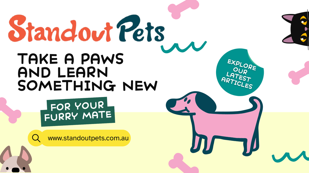 Christmas Foods That Are Dangerous for Dogs | Standout Pets