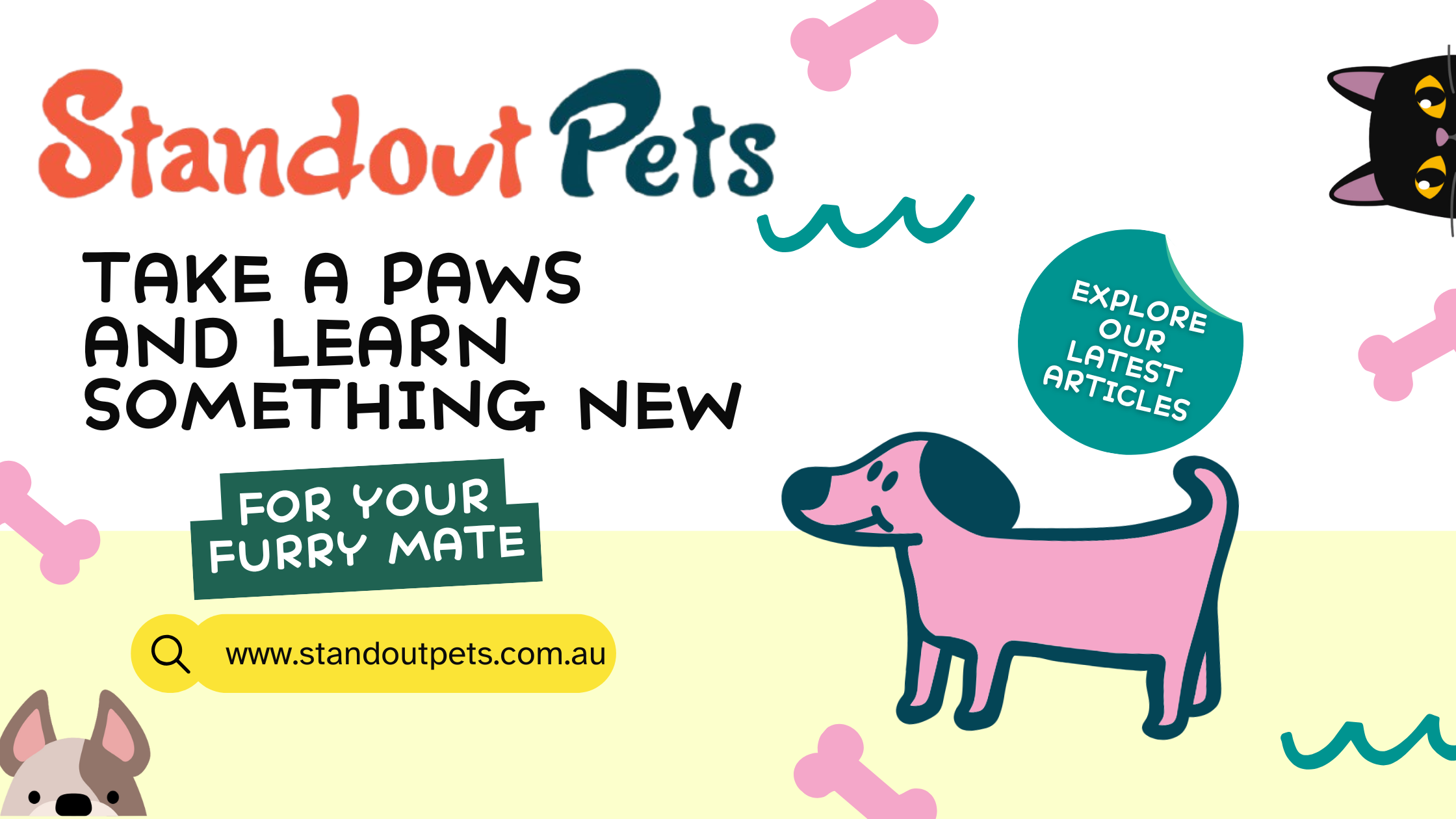 Keeping Your Dog Safe in the Aussie Summer Heat & Festive Decorations