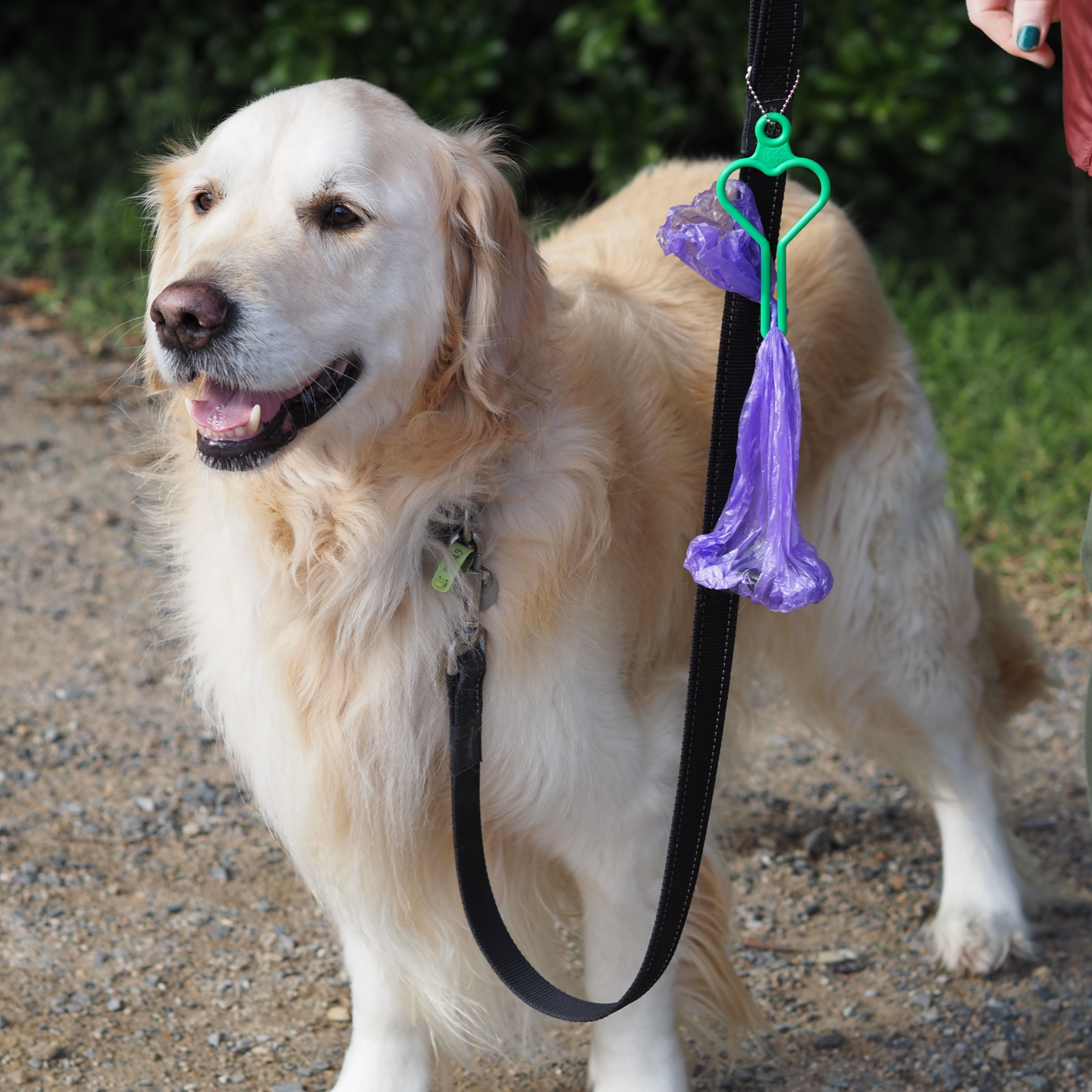 DooLacky Doggy Doo Bag Holder