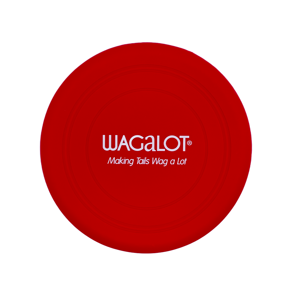 Silicone Frisbee