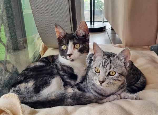 User generated content 1