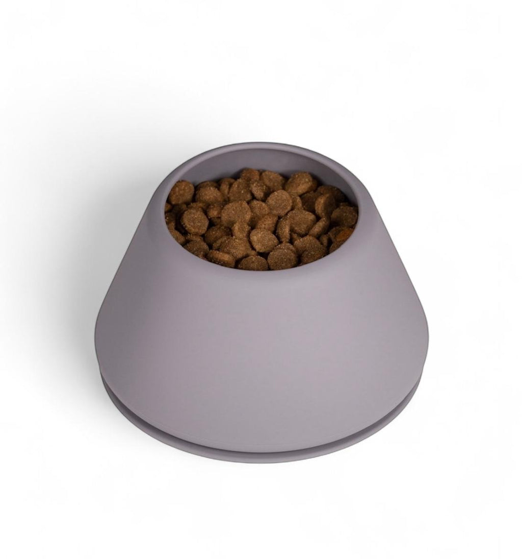 Long Eared Dog Bowl