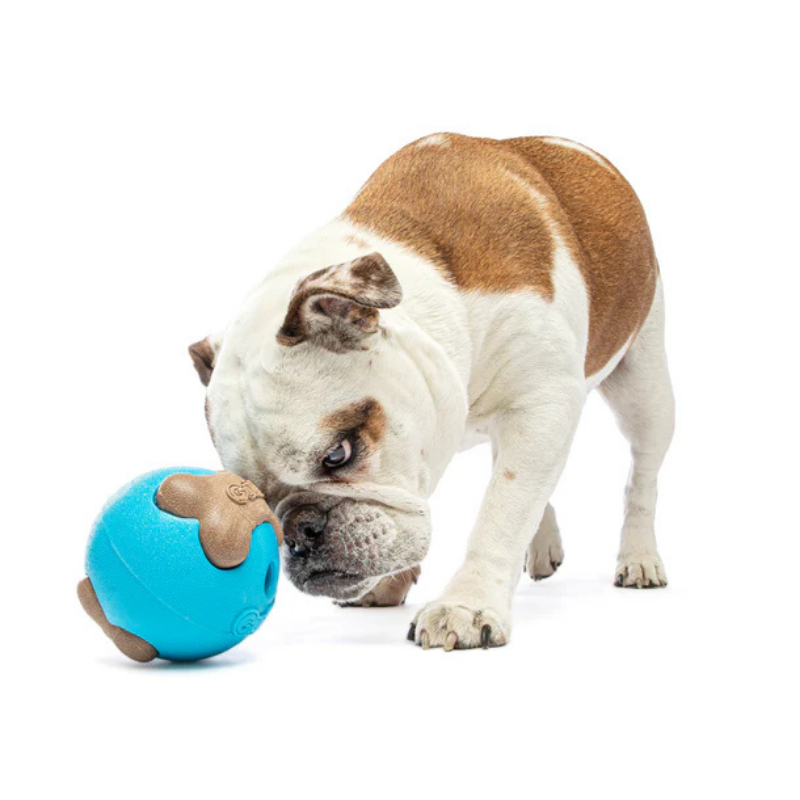 Busy Ball - Treat Dispenser