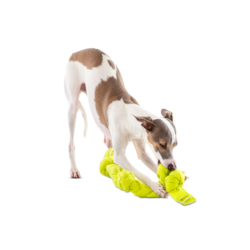 Squeaking Tennis Snuffle Rope