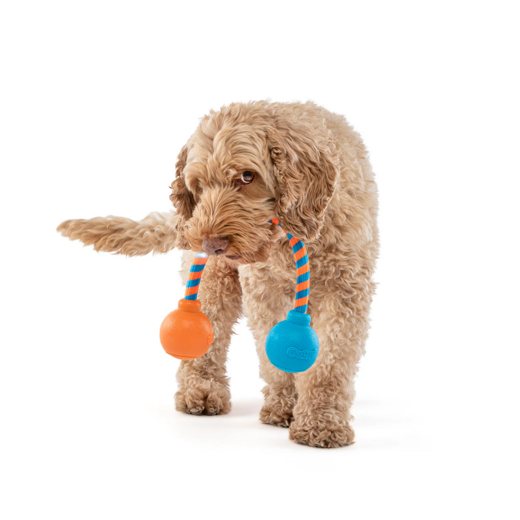 Squeaking Rope Toy