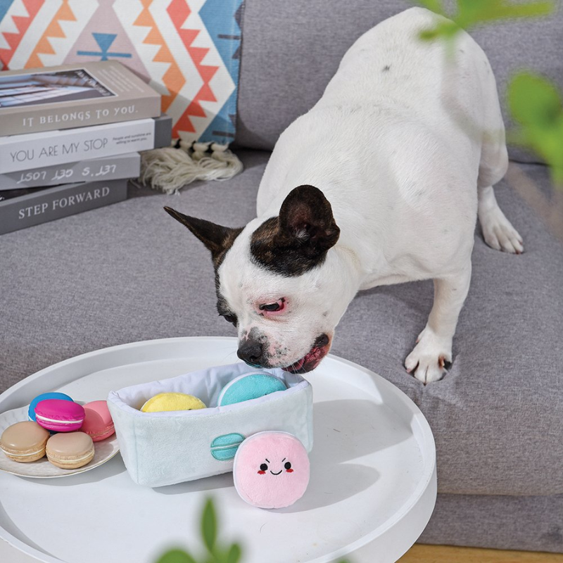 Puzzle Hunter - Macarons