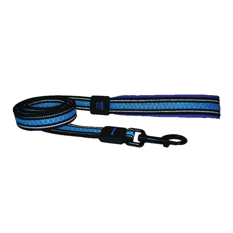 Reflective Padded Leash