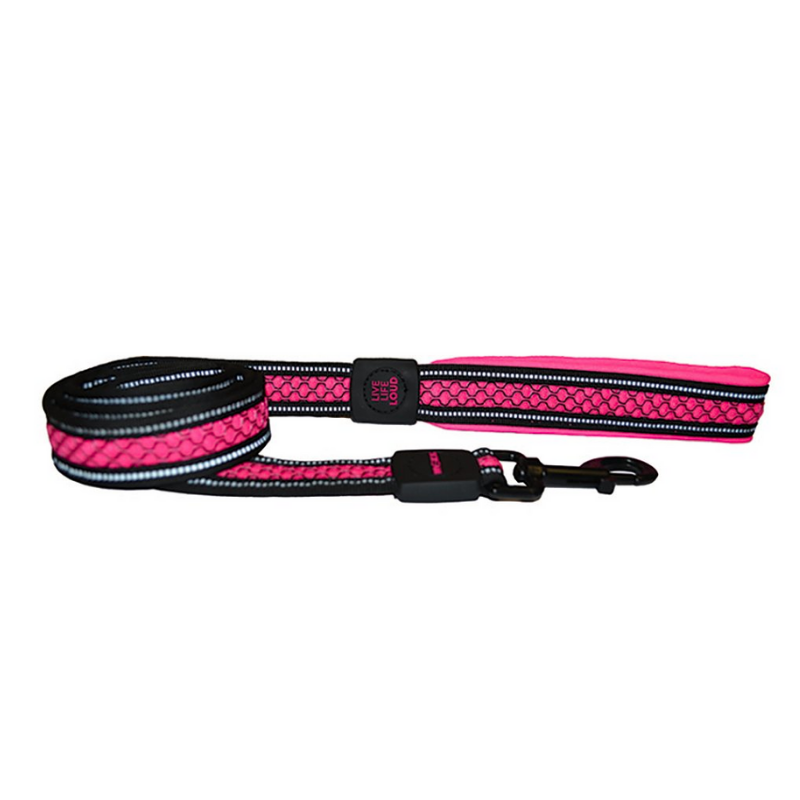 Reflective Padded Leash