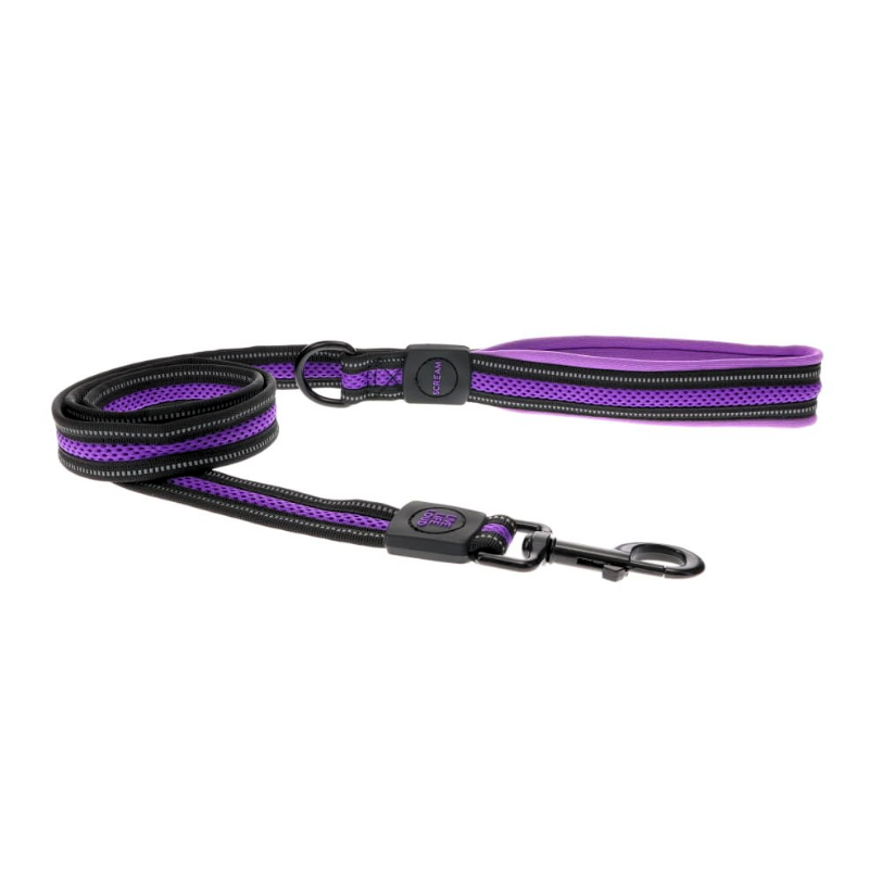 Reflective Padded Leash