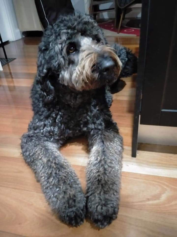 User generated content 5