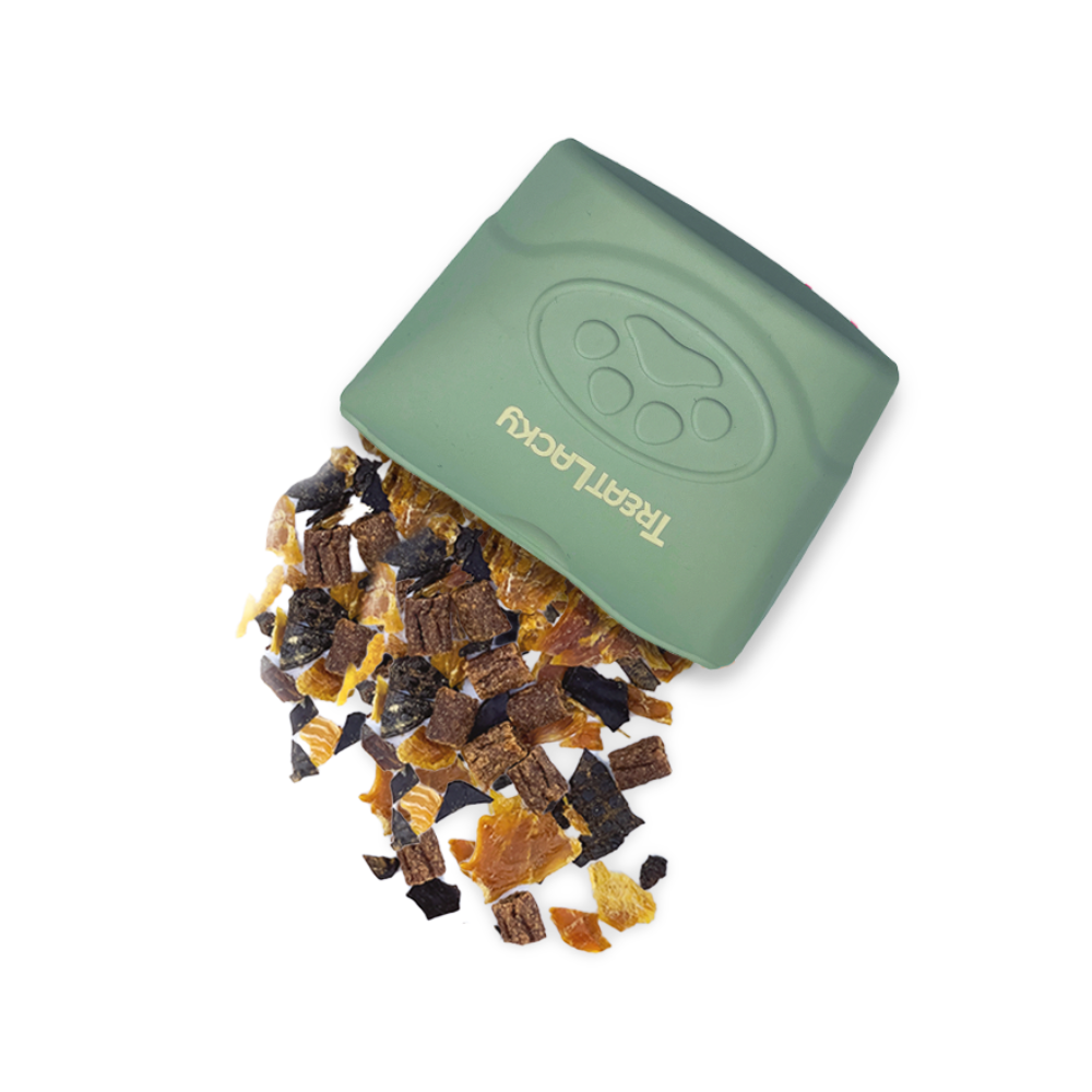 TreatLacky Treat Pouch