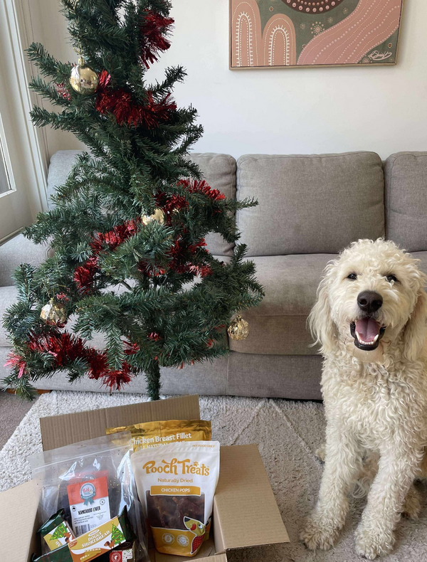 User generated content 4