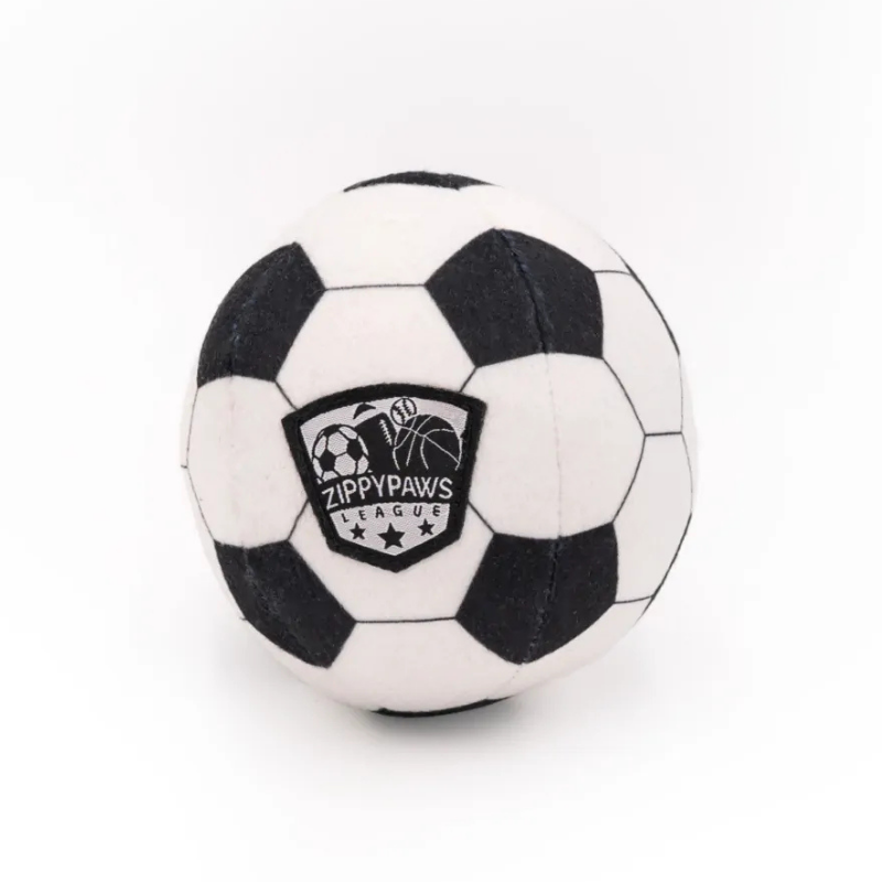 SPORTSBALLZ Soccer Ball